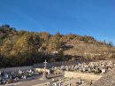 ... et son cimetière